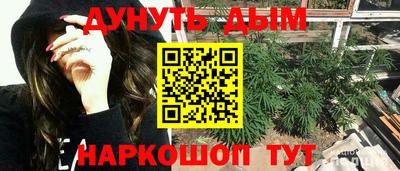 бошки Кимры