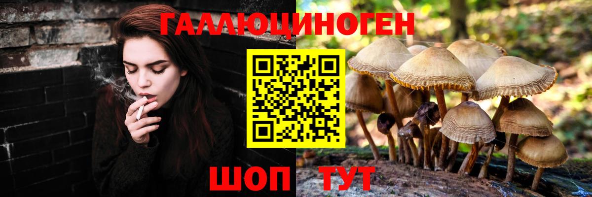 Галлюциногенные грибы Cubensis Кудымкар